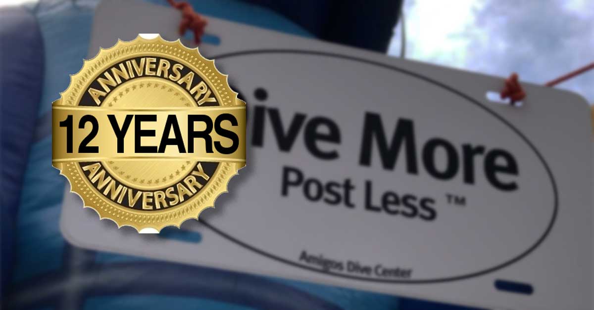 12th Anniversary